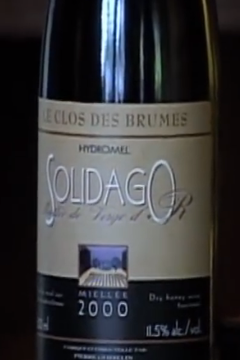 Solidago, Domaine le Clos des Brumes